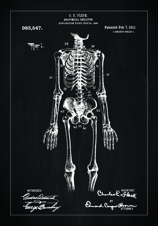 Dessin de brevet - Squelette anatomique I - Noir Poster