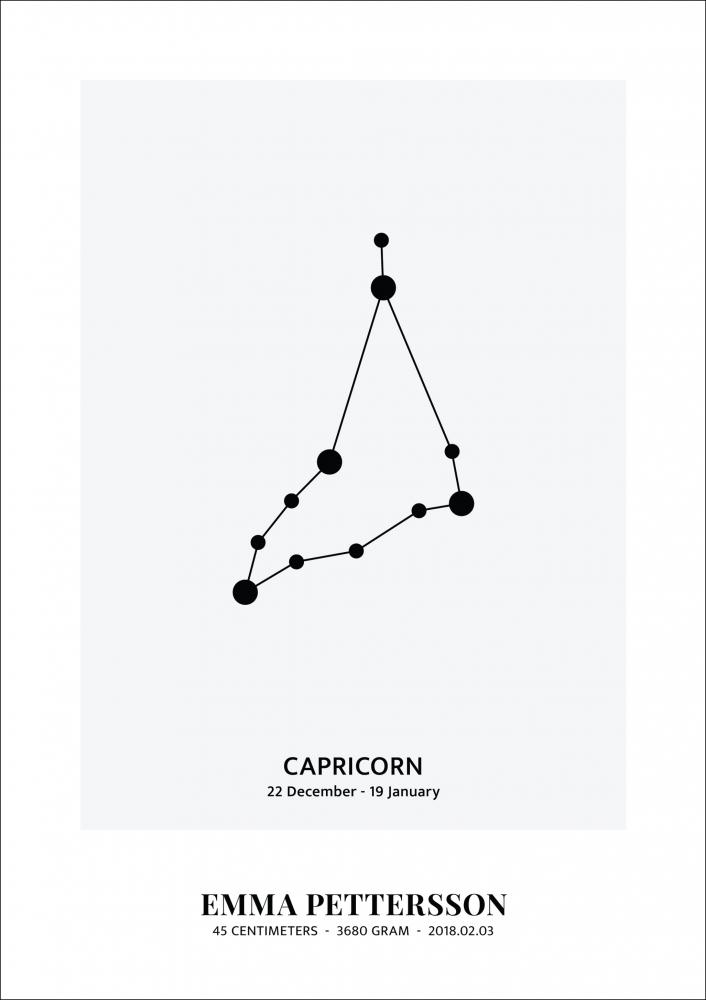 Capricorn - Star Sign