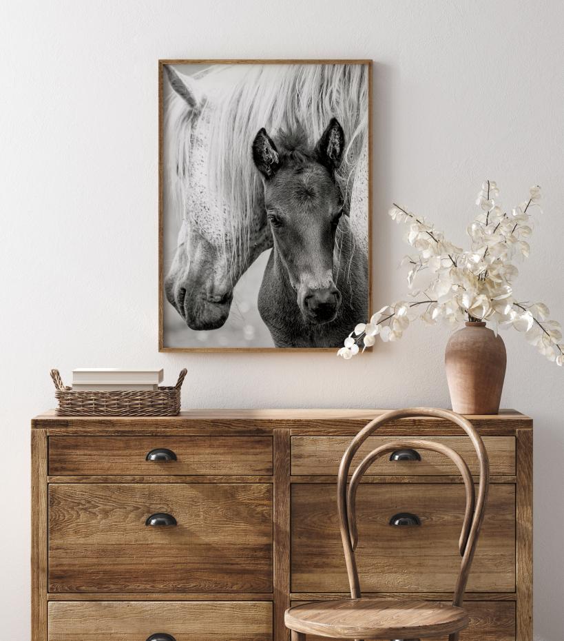 The Foal Poster