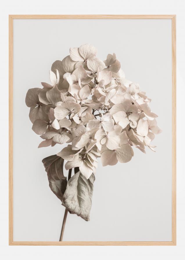 Beige Dried Flower Poster