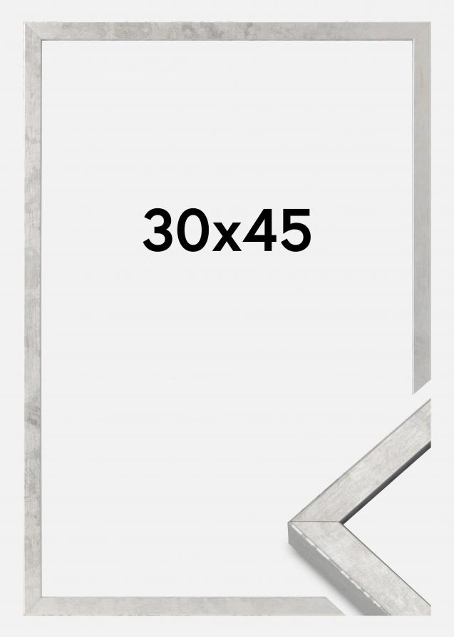 Cadre Ares Verre acrylique Argent 30x45 cm