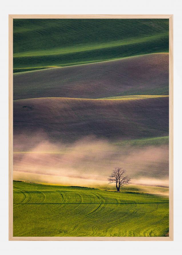 Sunset in Palouse Poster