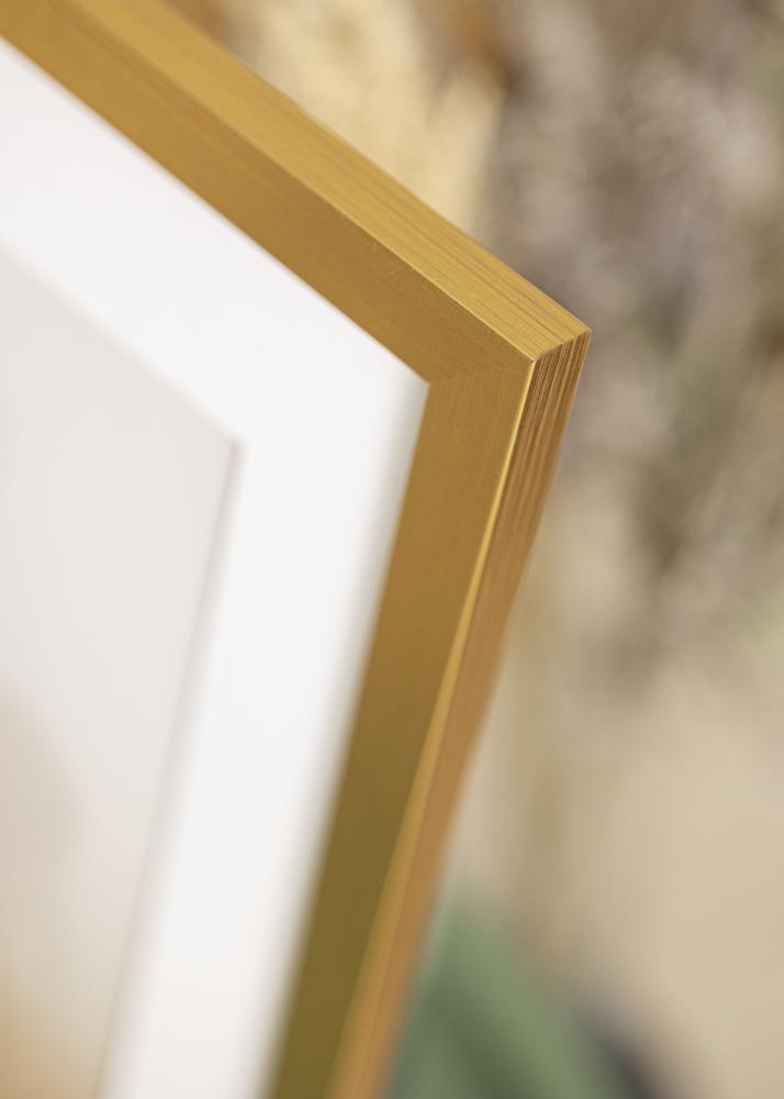 Cadre Gold Wood Verre Acrylique 25x50 cm