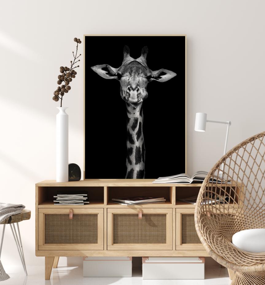Chewing Giraffe Poster