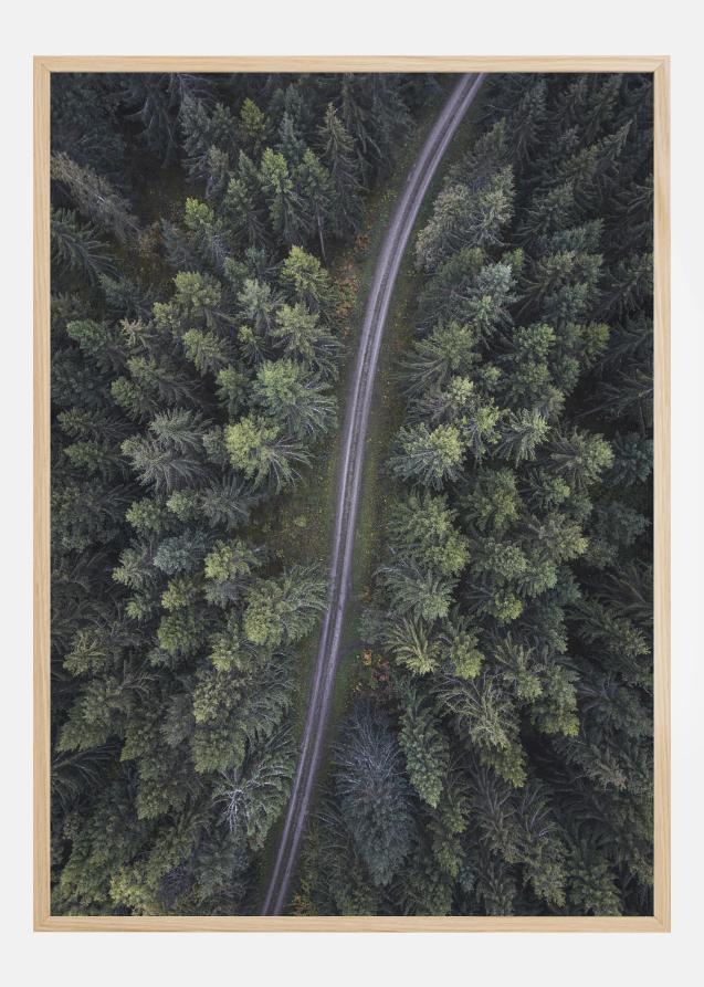 Small road through the forest Poster