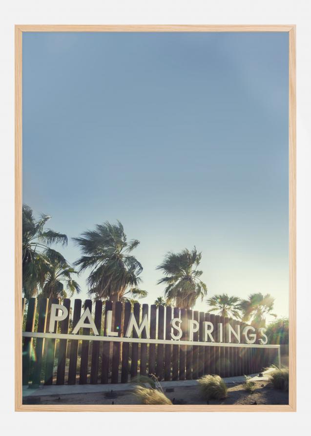 Palm Springs Poster