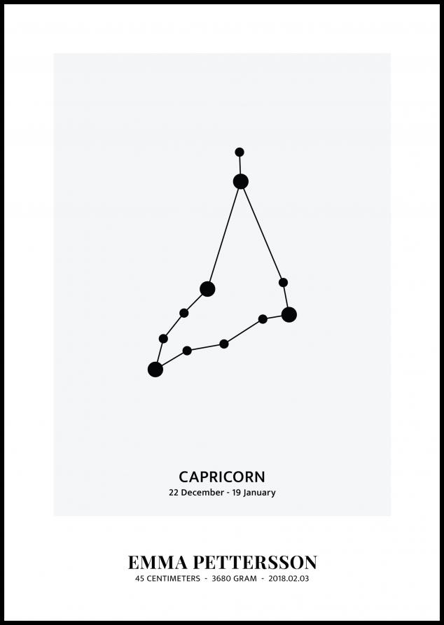 Capricorn - Star Sign