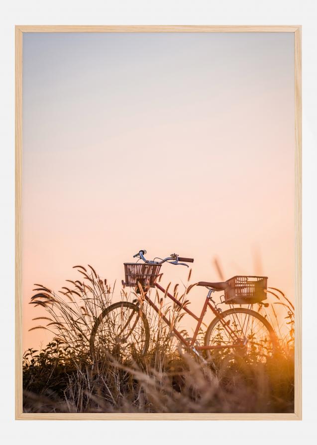 Bike Ride In The Sunset Poster