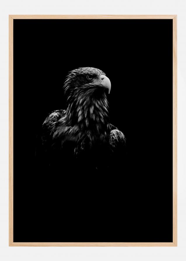 Black Eagle Poster
