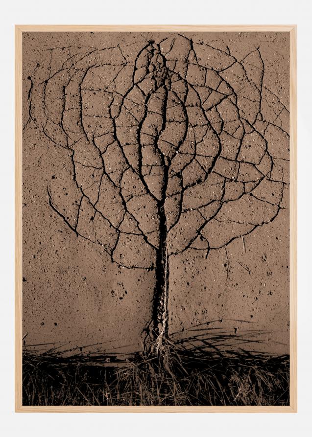 Asphalt Tree Poster