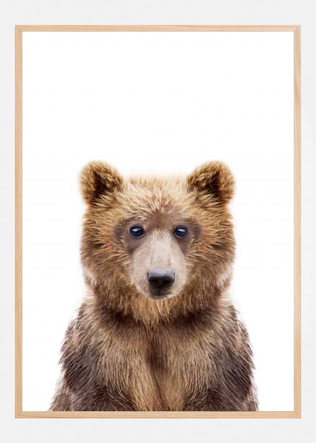 Baby Bear Poster