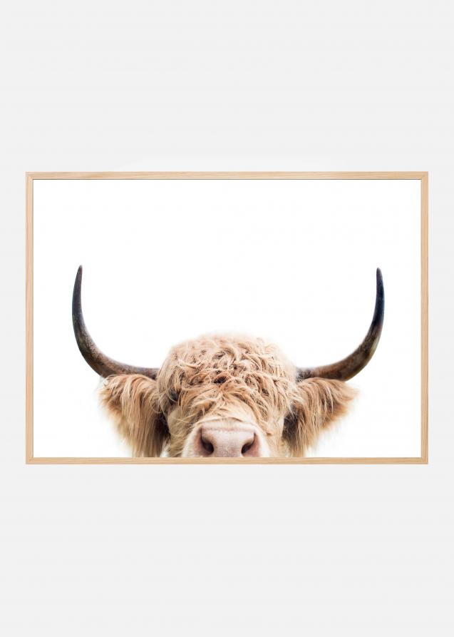 Peeking Cow Poster