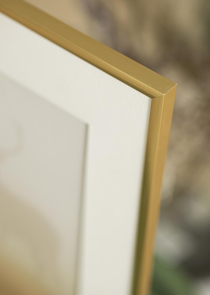 Cadre New Lifestyle Verre acrylique Shiny Gold 40x50 cm