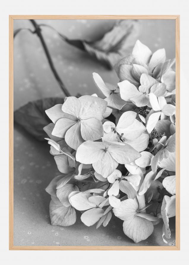 Dried Flower Bw Poster