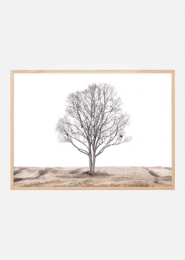 The lonely tree Poster