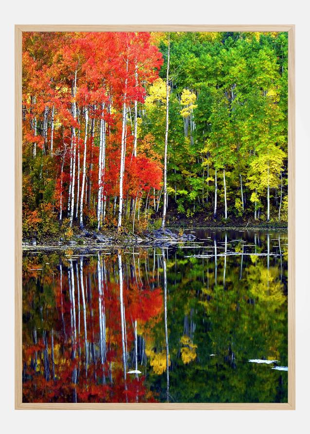 Colourful Trees By The Lake Poster