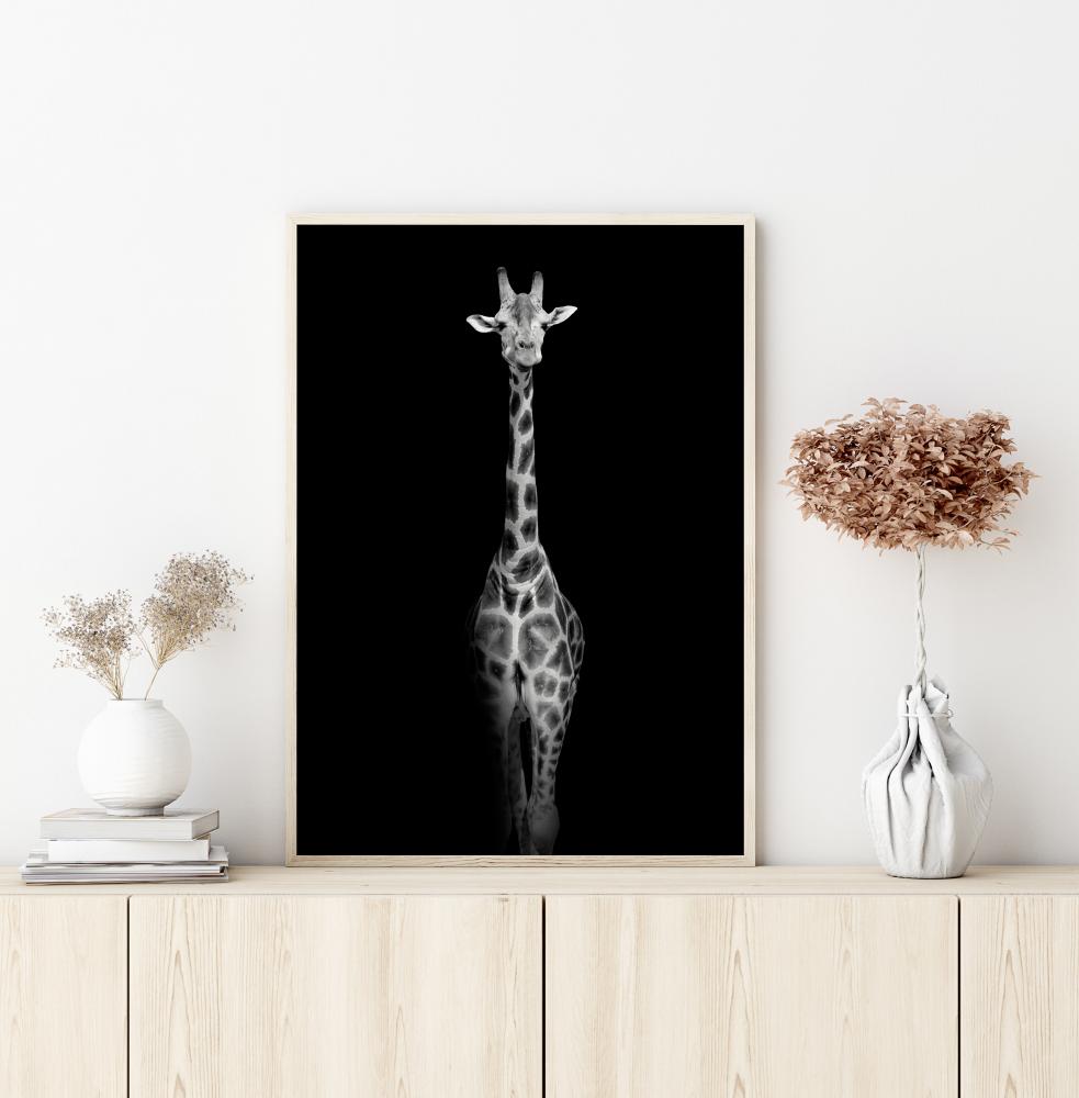 Stunning giraffe Poster