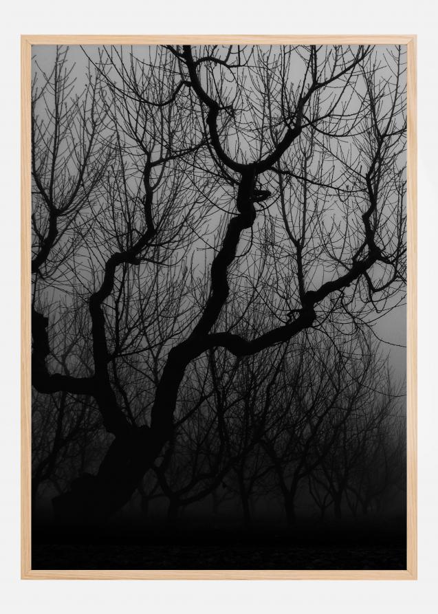 Dark trees Poster