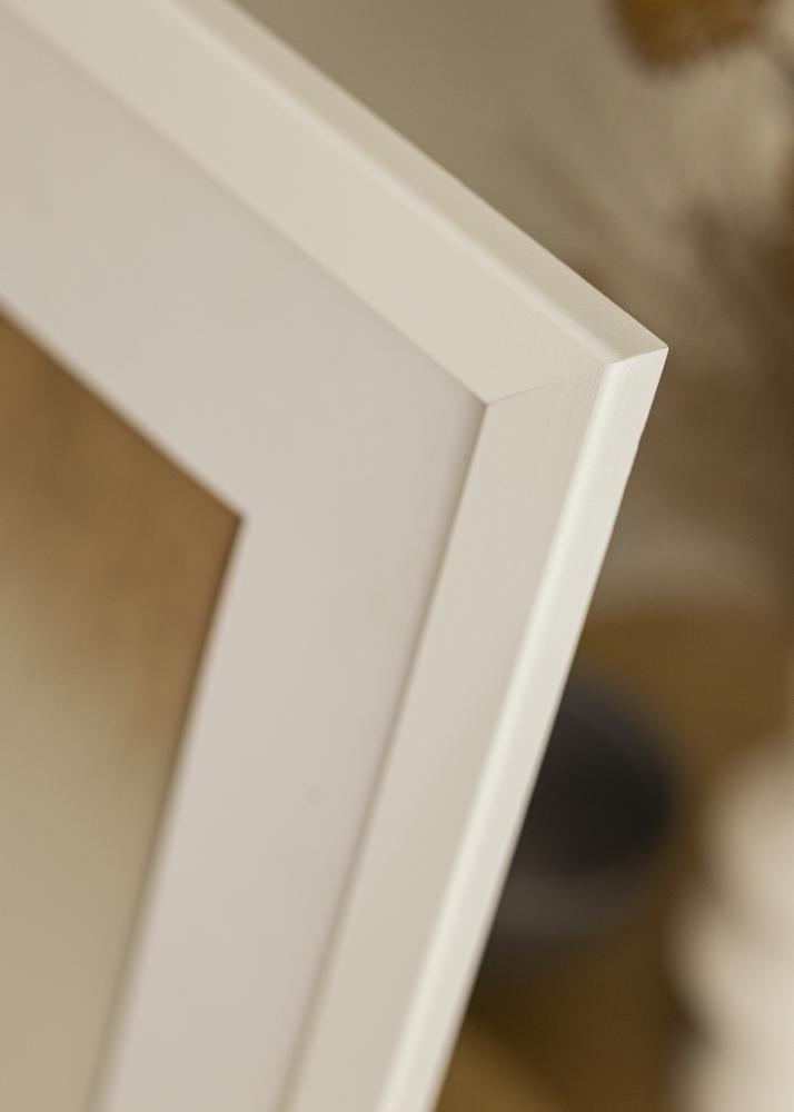 Cadre Trendline Verre acrylique Blanc 43,2x61 cm (A2+)