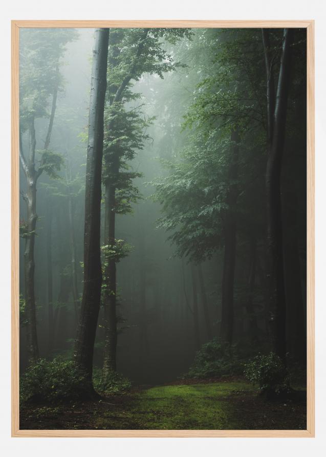 Mysterious forest Poster
