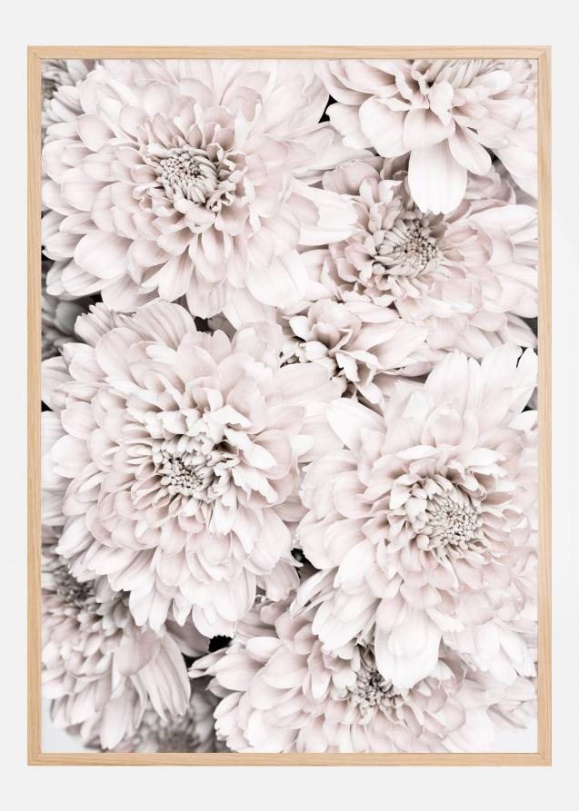 Chrysanthemum II Poster