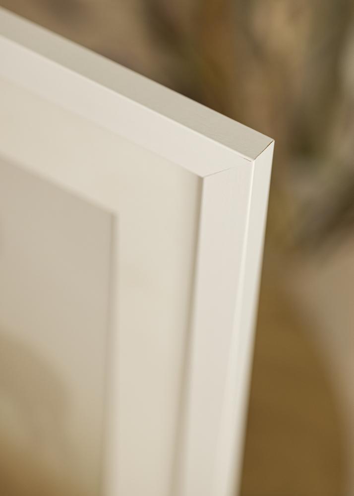 Cadre White Wood Verre Acrylique 20x60 cm