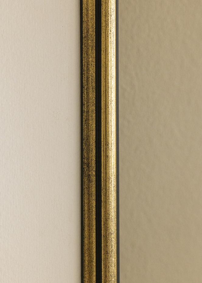 Cadre Horndal Or 50x60 cm