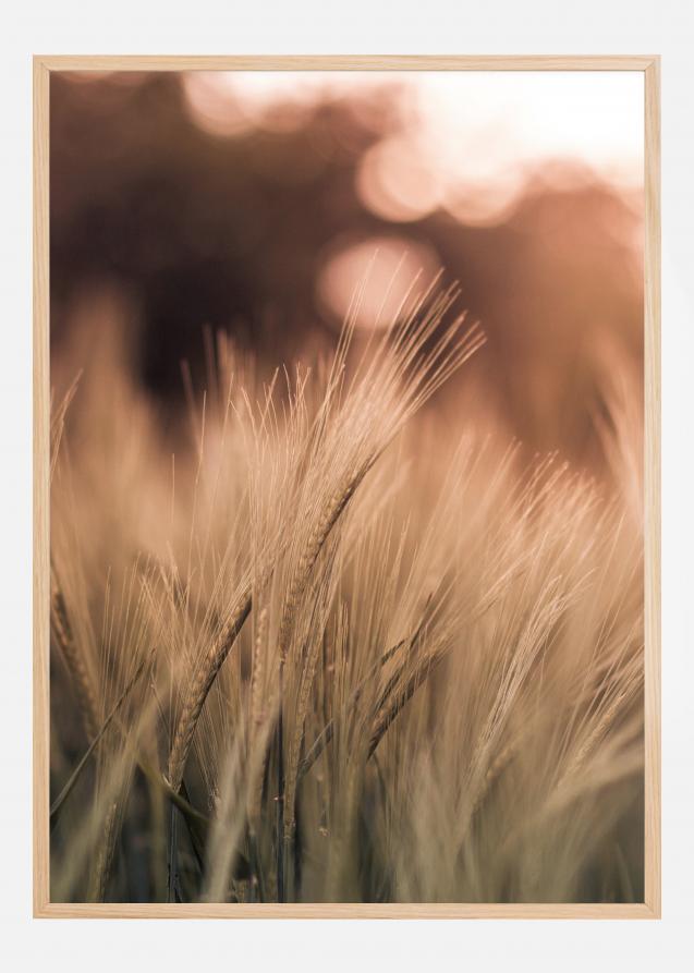 Wheat Fields I Poster