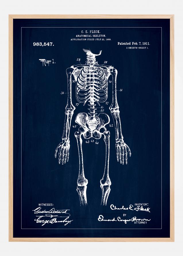Dessin de brevet - Squelette anatomique I - Bleu Poster