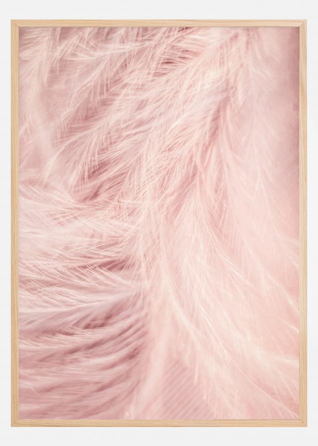 Pink Feathers Poster
