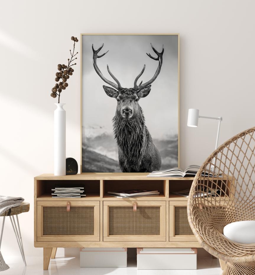 Curious Deer Poster