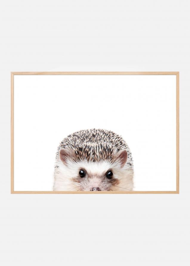 Peeking Hedgehog Poster