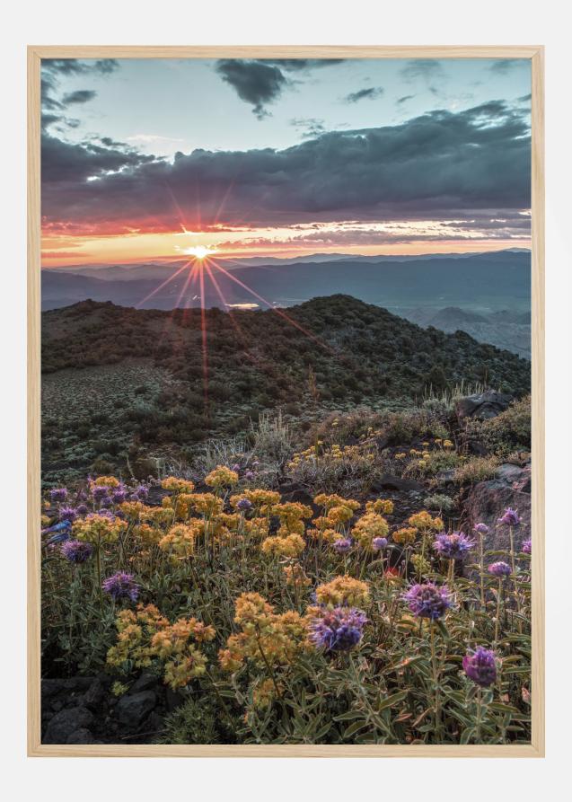 Beautiful Sunset Poster