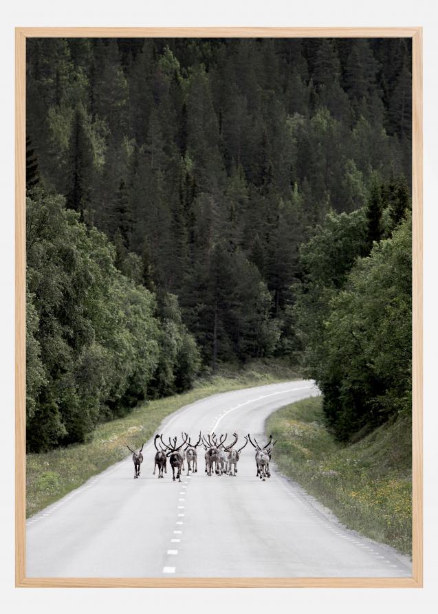 Reindeer road Poster