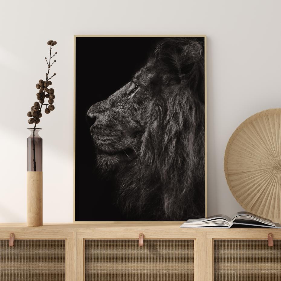 Lion In Profile Poster