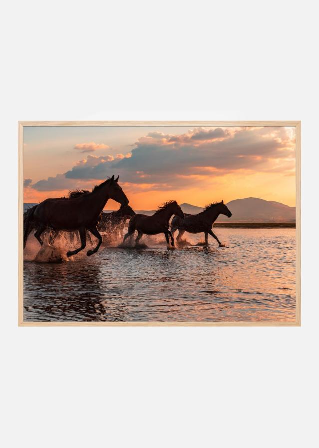 WATER HORSES Poster