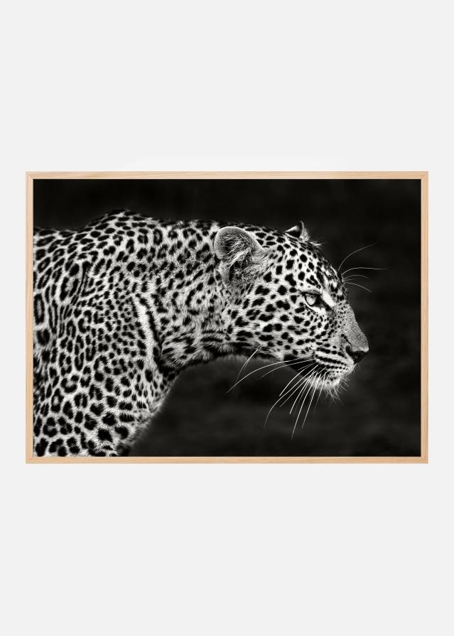 Leopard Close Up Poster