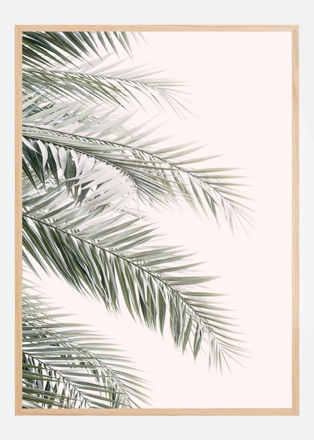 Blush Palm Leaves Poster