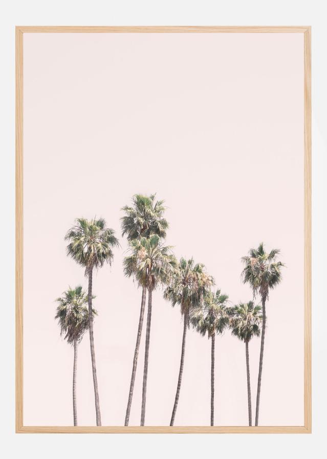 Blush Palms Poster