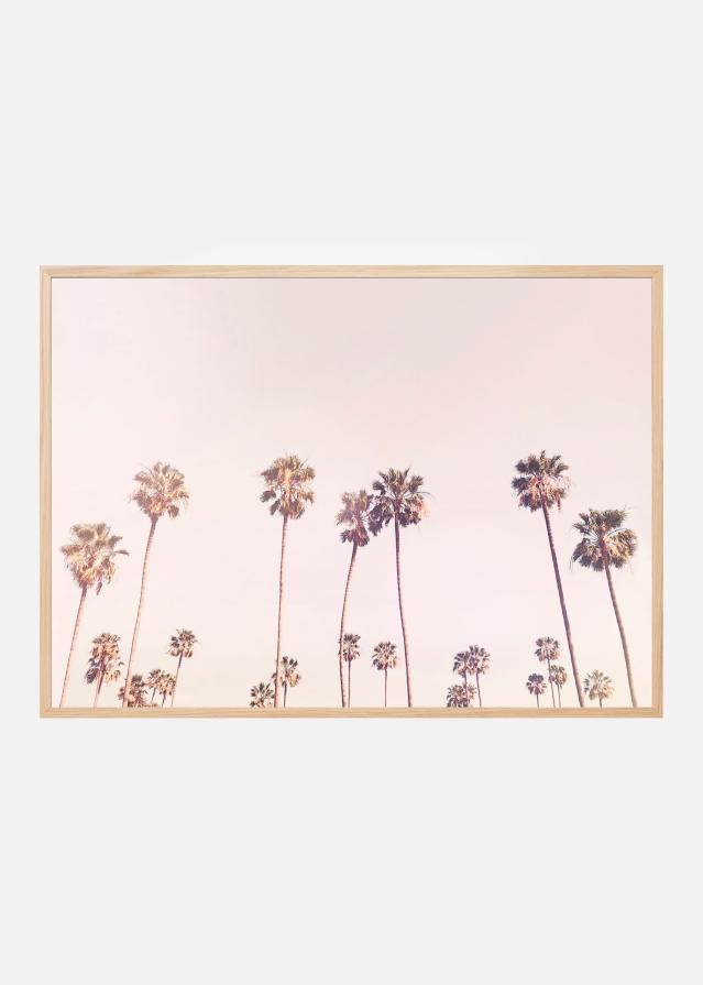 Sunny Cali Palm Trees Poster