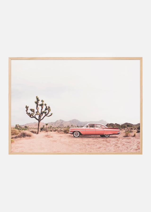 In the desert Poster