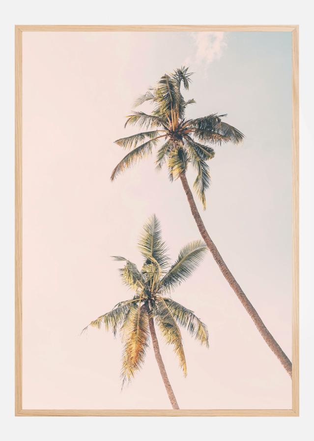 Tropical Palms Poster