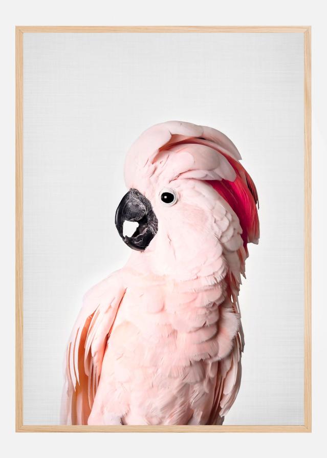 Pink Cockatoo Poster