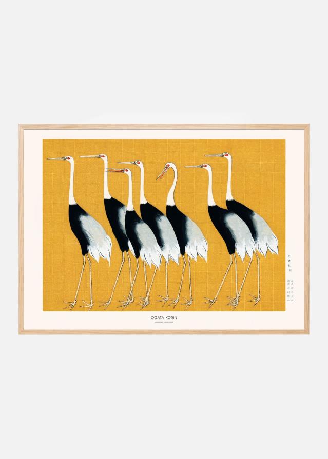 Japanese Red Crown Crane Poster