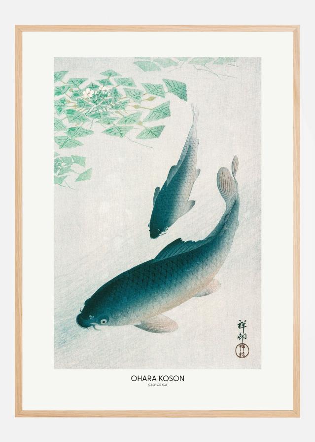 Carp Or Koi Poster