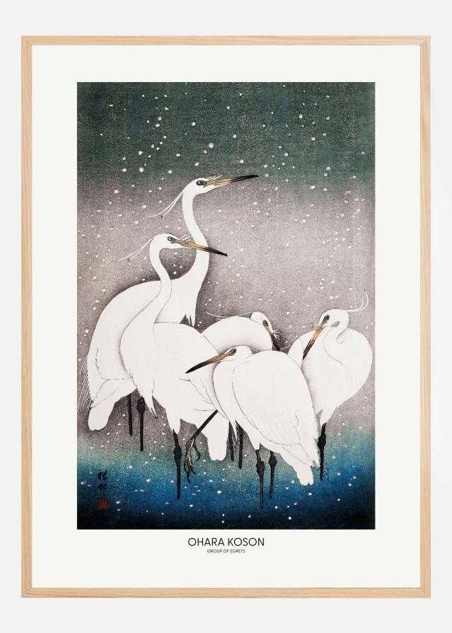 Group Of Egrets Poster