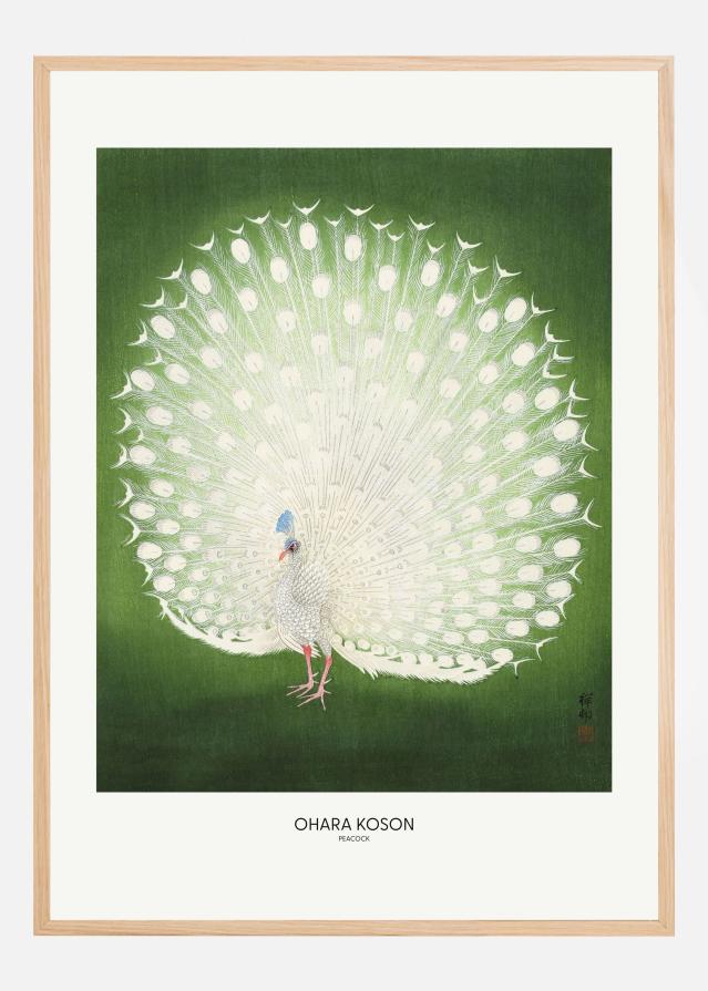 Peacock - Wide Poster