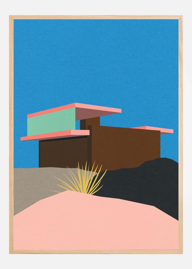 Kaufmann Desert House Poster