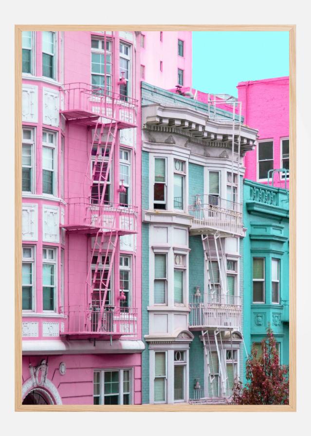 Pink and Blue Row Houses in San Francisco Poster