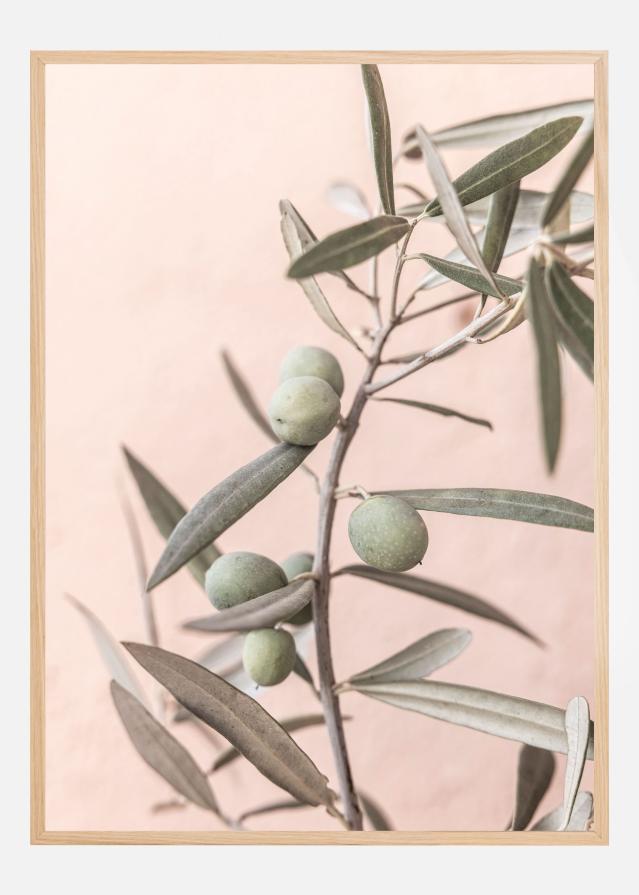 Olives Poster